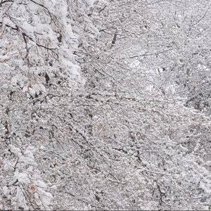 Meet your Posher, Ranjit